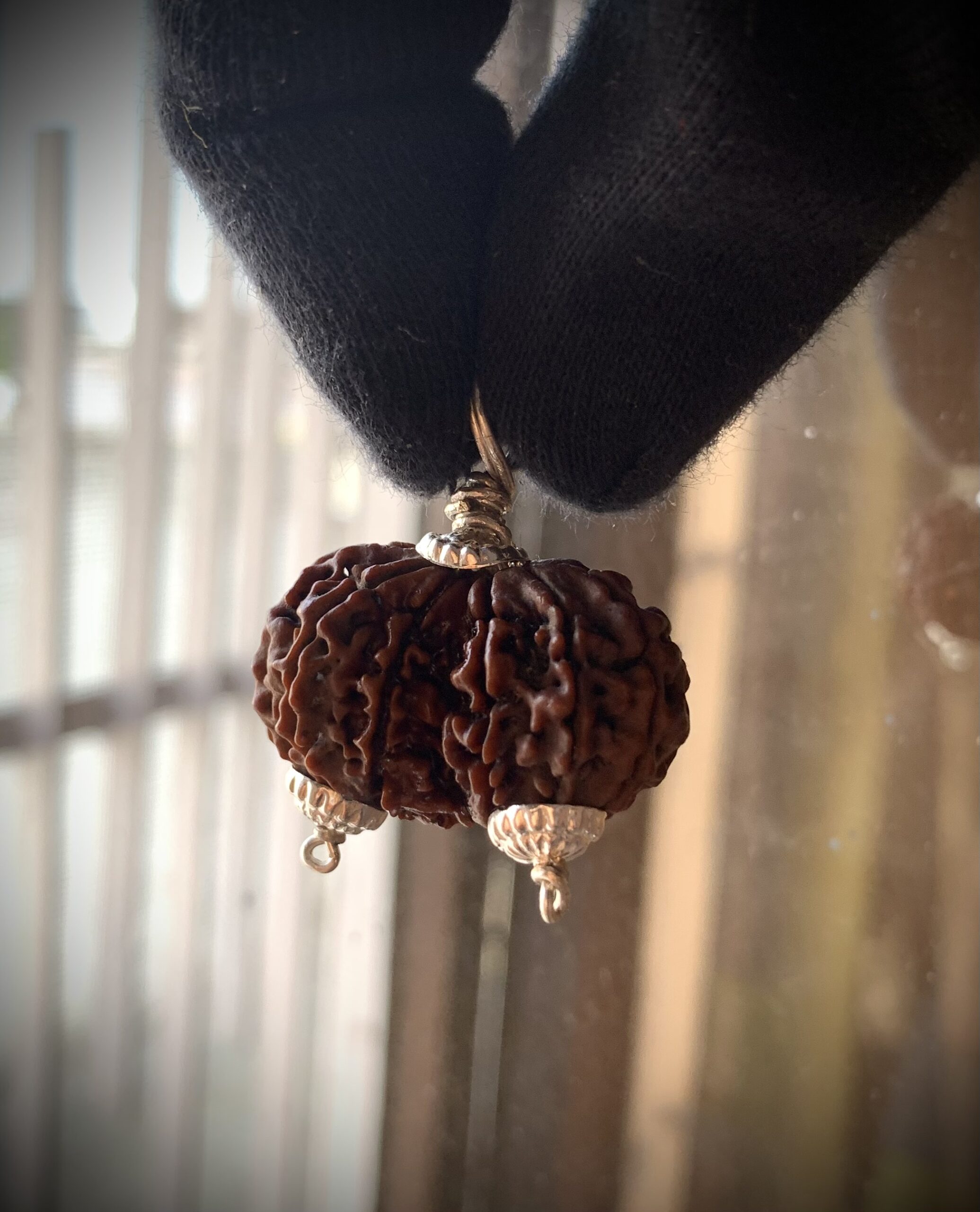 Gauri Shankar Rudraksha - Image 2