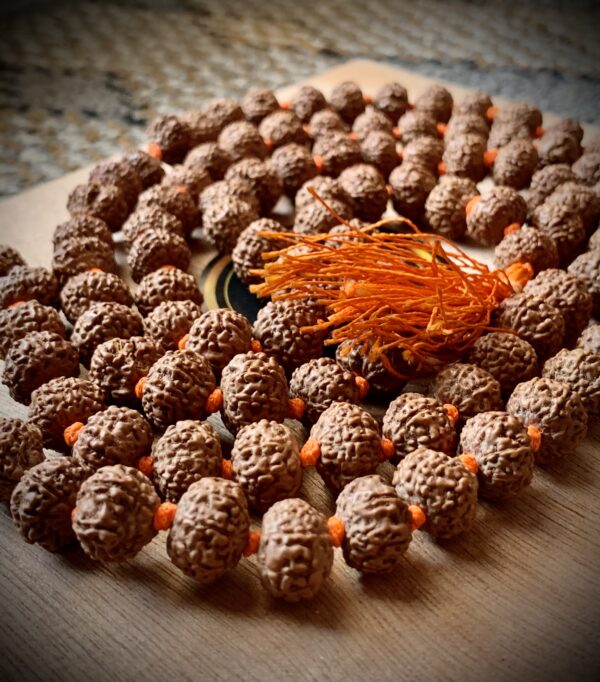 Satmukhi 108+1 Beads Mala - Image 2
