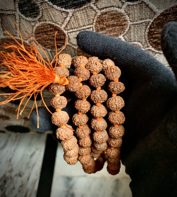 Satmukhi 108+1 Beads Mala - Image 3