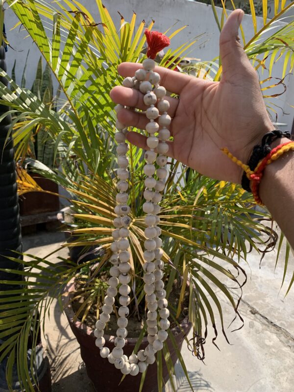 Tulsi Jaap Mala - Vrindavan Tulsi - Image 3