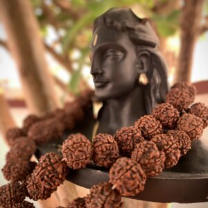 Panchmukhi 108+1 Beads Mala