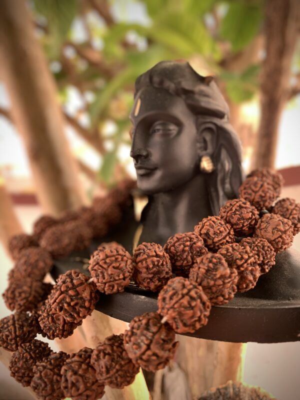 Panchmukhi 108+1 Beads Mala