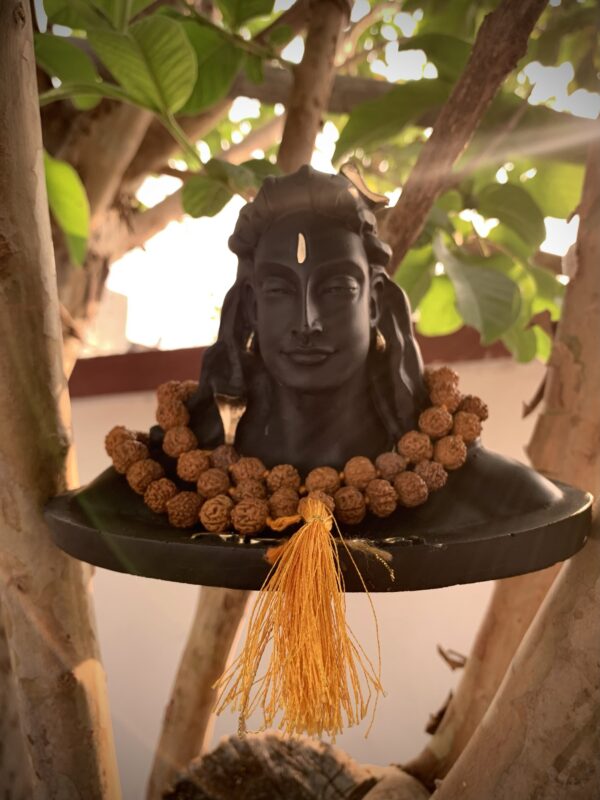 Panchmukhi 108+1 Beads Mala - Image 6
