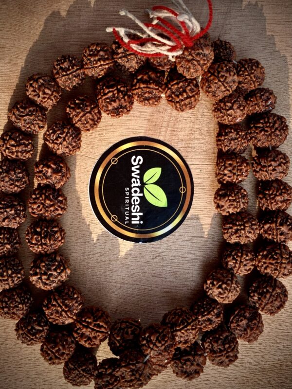 Panchmukhi 108+1 Beads Mala - Image 8