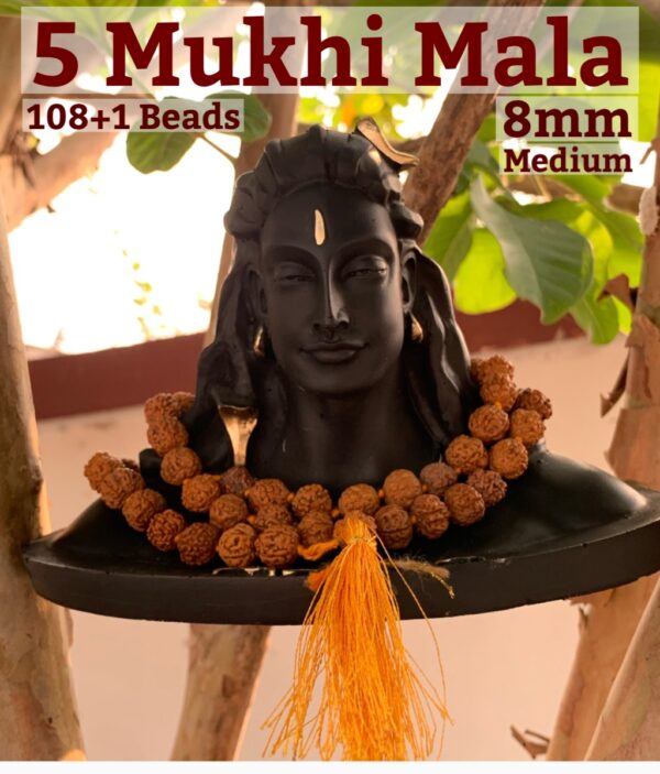 Panchmukhi 108+1 Beads Mala - Image 5